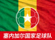 塞内加尔国家足球队旗帜